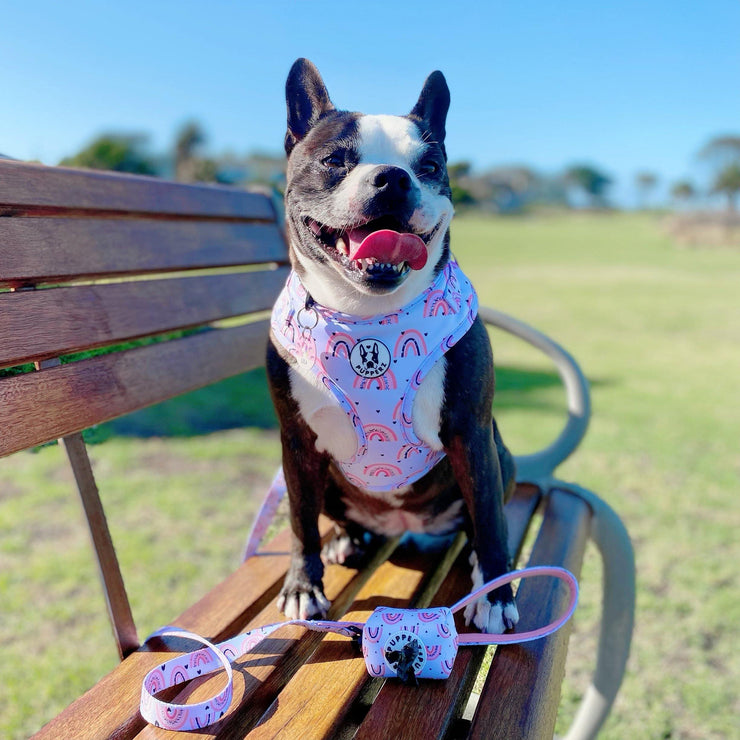 PUPPERZ pawsitive vibes only poop bag holder