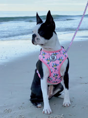 'BEACH BUM SHARK' Adjustable Harness