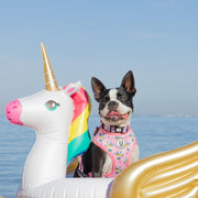'BEACH BUM SHARK' Adjustable Dog Harness - PUPPERZ
